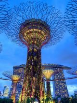 Singapore in bloom for solo travellers with return flights