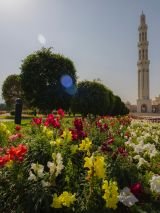 Lawrence Returns to Arabia with Return Flights