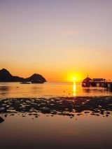 Indonesian Island Cruise on Panorama II